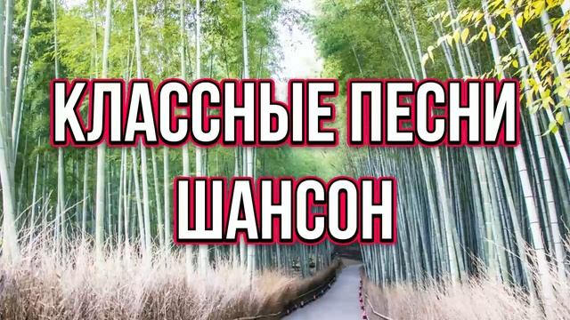 ▶️2️⃣3️⃣🍀 КЛАССНЫЕ ПЕСНИ ШАНСОН 2024 | НОВИНКИ ШАНСОН