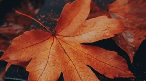 Желаю прекрасного настроения - Музыкальное пожелание