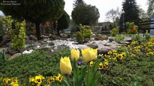 Горячий Ключ. Курортная зона. День 2-й, часть 8-я. 12.04.2025.