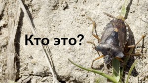 Мормышинг. Рыбалка на Озере. Осень 2025. А где Карась? 13 сентября 2025.