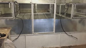 ТЁПЛЫЙ ПОЛ ДЛЯ НУТРИЙ готов