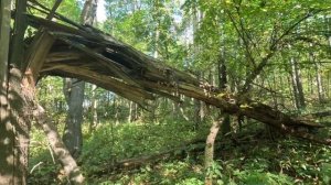 ТИПА РЫБАЛКА,НО НЕ ПЛОХАЯ ГРЕБАЛКА