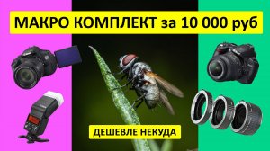 Макросъемка за 10 000 рублей - самый бюджетный комплект