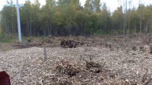 Освоение неразработанного участка, земли населенных пунктов, город Вологда (Часть 12)