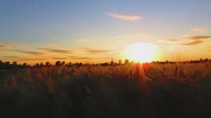 Не стесняйтесь быть людьми. Инна Кучерова. Читает автор