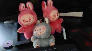 лабубу мои игрушки