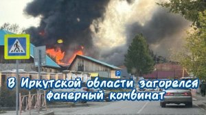 Фанерный завод в огне — и никто не пострадал. А в психбольнице — пять раненых. Разница в 12 часов…