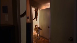 С ними не соскучишься!