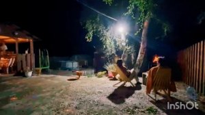 Сидим возле костра на даче👍❤