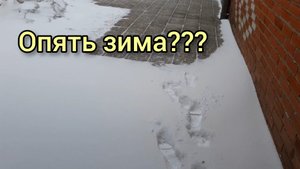 Воспоминания 2021г. Опять зима? Поднадоела зима!