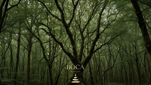 INNER BALANCE | Внутренний баланс смотреть онлайн