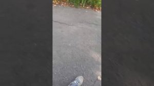 заходите на трансляцию!