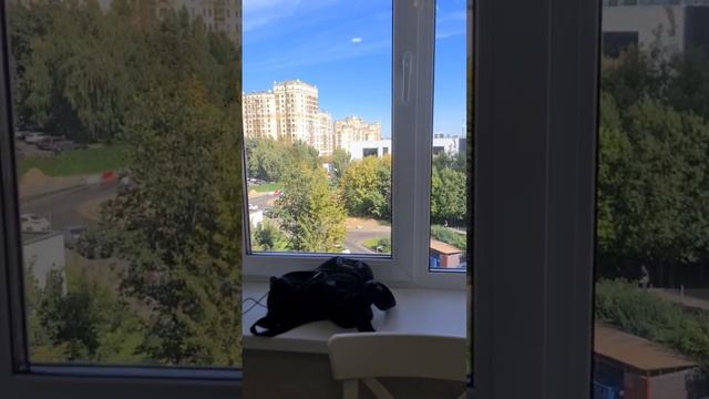Мичуринский проспект, аренда 2-х комнатной квартиры. Москва.