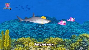 Акулёнок и его большая семья и другие | +Сборник | Пинкфонг Песни и мультик для Детей