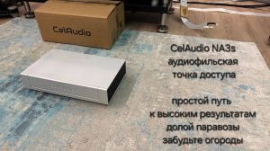 2025.09.13 CelAudio NA3s Hi-Fi точка доступа ROON Bridge switc чистый берег