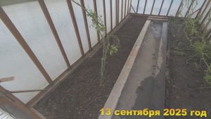 7 соток. Убрала помидоры из теплицы. Хроника 13 сентября 2025 год