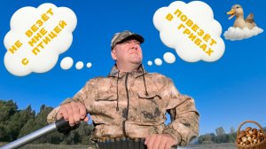 Шокирующая Лесная Охота: Грибы-Гиганты, Утки и Тайны Здоровья! Что Случилось в Глубине Тайги?