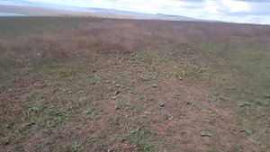 Трактор🚜 Т-16 сенокос. 13 сентября. 2025год Иркутская область Усть- Удинский район село Молька