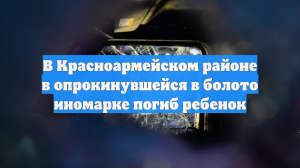 В Красноармейском районе в опрокинувшейся в болото иномарке погиб ребенок