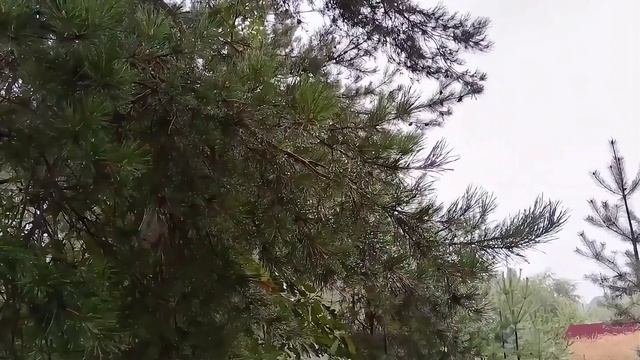 Прохождение тёплого фронта и сектора экс-урагана "Эрин" смотреть онлайн