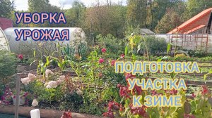 СБОР УРОЖАЯ/ГОТОВЛЮ УЧАСТОК К ЗИМЕ. 10.09.25г