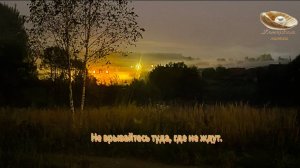 Не врывайтесь туда где не ждут. Уважайте личные границы и желания других. #мудоость_через_века.