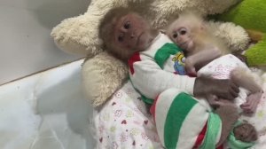 Обезьянки МАЛЕХА и БУКАШКА кроха разбудили папу сделать свежий сок из апельсинов Пьют Веселая истори