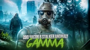 Я провел 200 ЧАСОВ В STALKER ANOMALY GAMMA и ВОТ ЧТО ПОНЯЛ