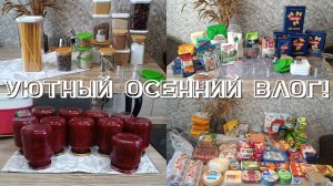 Уютный осенний влог! Мотивация на уборку! Рецепт борща на зиму! И снова в школу!
