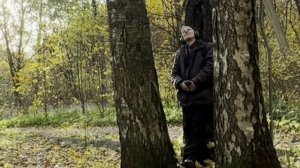 Лесопарк осенний