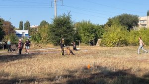 1 Отл. КЧК GERMANIYA v. Wespen Haus +++ №19. ЭНГЕЛЬС 31 августа`25 Моно немецких овчарок