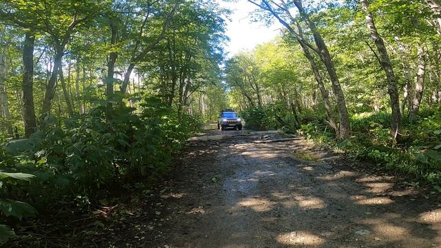 Лесная дорога на село Лесное.