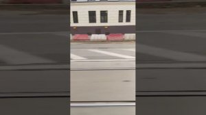 Поездки в общественном транспорте | 14-сен-2025, 2