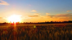 Вадим Гурьев Зачем тебя повстречал Vadim Guryev I wish I did not meet you