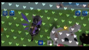 котики сошли с ума🗿