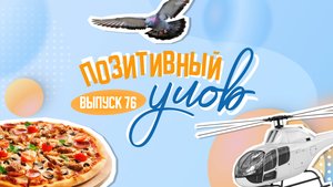 Шапочки для собак и коллекционер кроксов. "Позитивный улов"