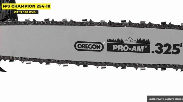 Лучшие бензиновые пилы 2025 Топ-5 мощных моделей для дачи, леса и стройки — рейтинг надёжности! смотреть онлайн