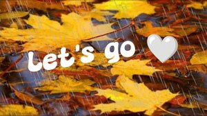 🫶🏽🍂new intro🍂🫶🏽