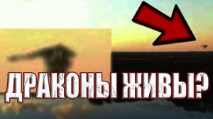 Очевидцы засняли летающего монстра. Драконы жили рядом с людьми?