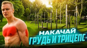 Тренировка груди и трицепса с собственным весом тела