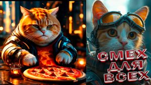 ПРИКОЛЫ С КОТАМИ😸Самые смешные животные😸 СМЕШНЫЕ КОТЫ Угарные коты и собаки заставят вас смеяться