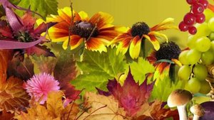 15 сентября. Приметы и поверья