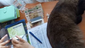 Второе распределение сентября