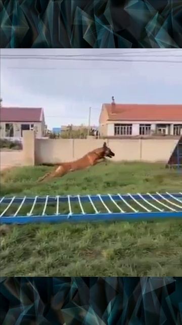 Прыжок смотреть онлайн