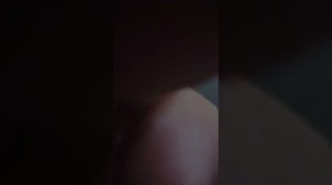 играю в роблокс