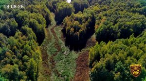 Золотой Скиталец.  Прогулка по грибы.