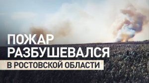 Огонь подбирается к домам: сильный пожар охватил Ростовскую область