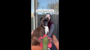 Видео от МЯУтаверс – как метавселенная, но с котами