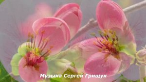 Музыка Для Души ПУТЕШЕСТВИЕ ВЕСНЫ Музыка Сергей Грищук #МУЗЫКА #КРАСИВАЯМУЗЫКА