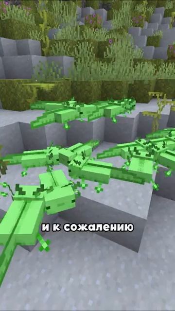 5 секретов аксолотля БИСКАС ПЕРЕЗАЛИВ